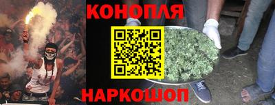 jwh Нальчик