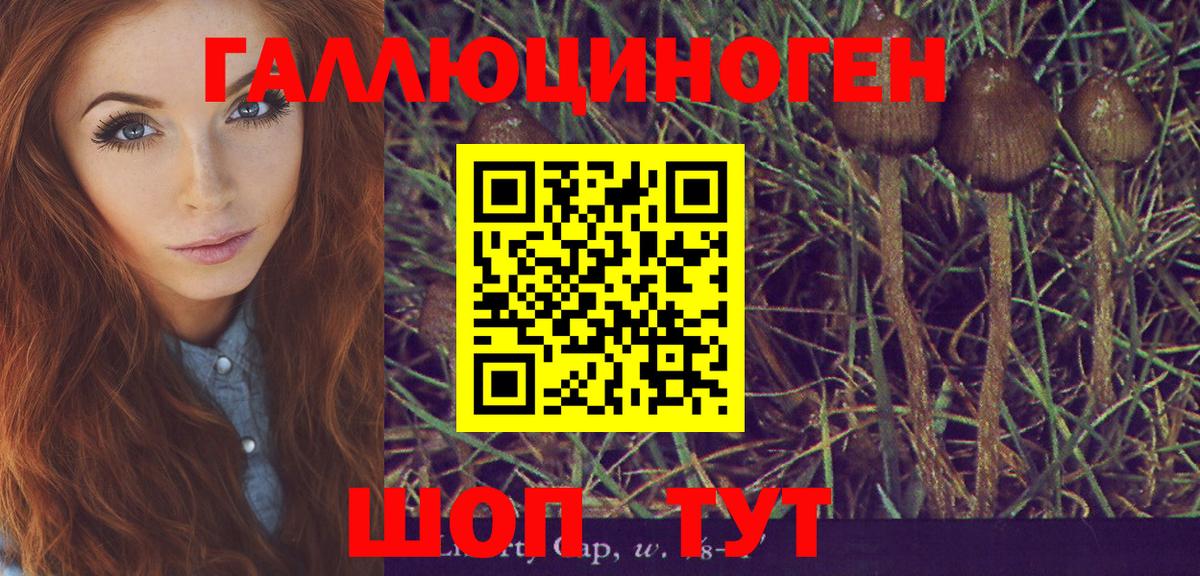 Псилоцибиновые грибы Magic Shrooms Советская Гавань