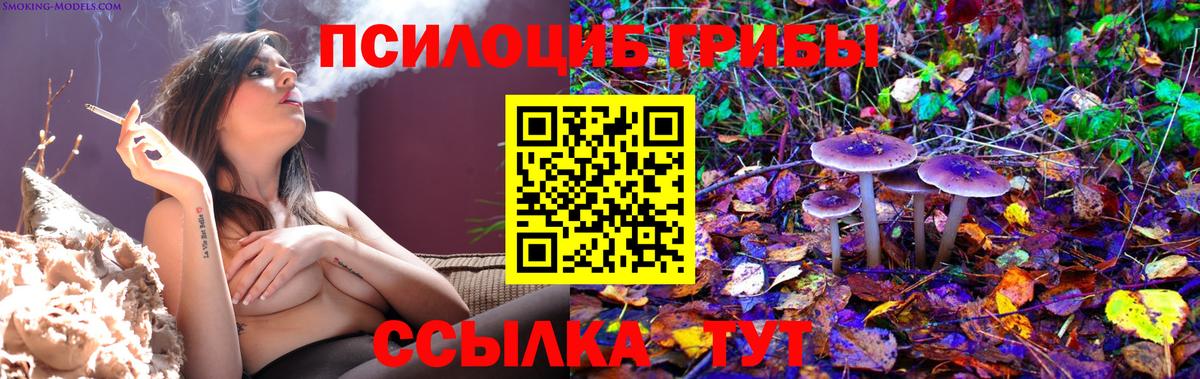 купить закладку  Псилоцибиновые грибы ЛСД  Вход с VPN  Советская Гавань  Галлюциногенные грибы ЛСД 